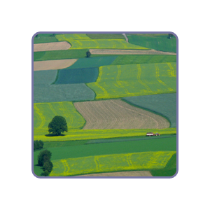 Agricultura
